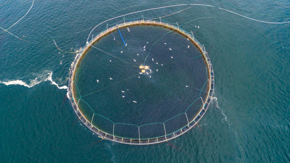 Fiskehelse og landbruk